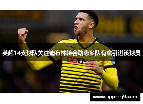 英超14支球队关注迪布林转会动态多队有意引进该球员
