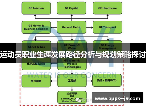 运动员职业生涯发展路径分析与规划策略探讨