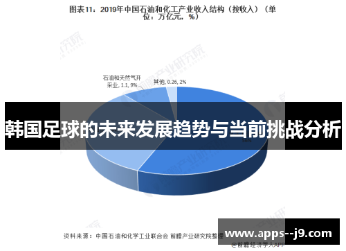 韩国足球的未来发展趋势与当前挑战分析 韩国足球的未来发展趋势与当前挑战分析