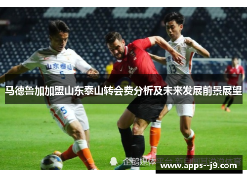 马德鲁加加盟山东泰山转会费分析及未来发展前景展望 马德鲁加加盟山东泰山转会费分析及未来发展前景展望